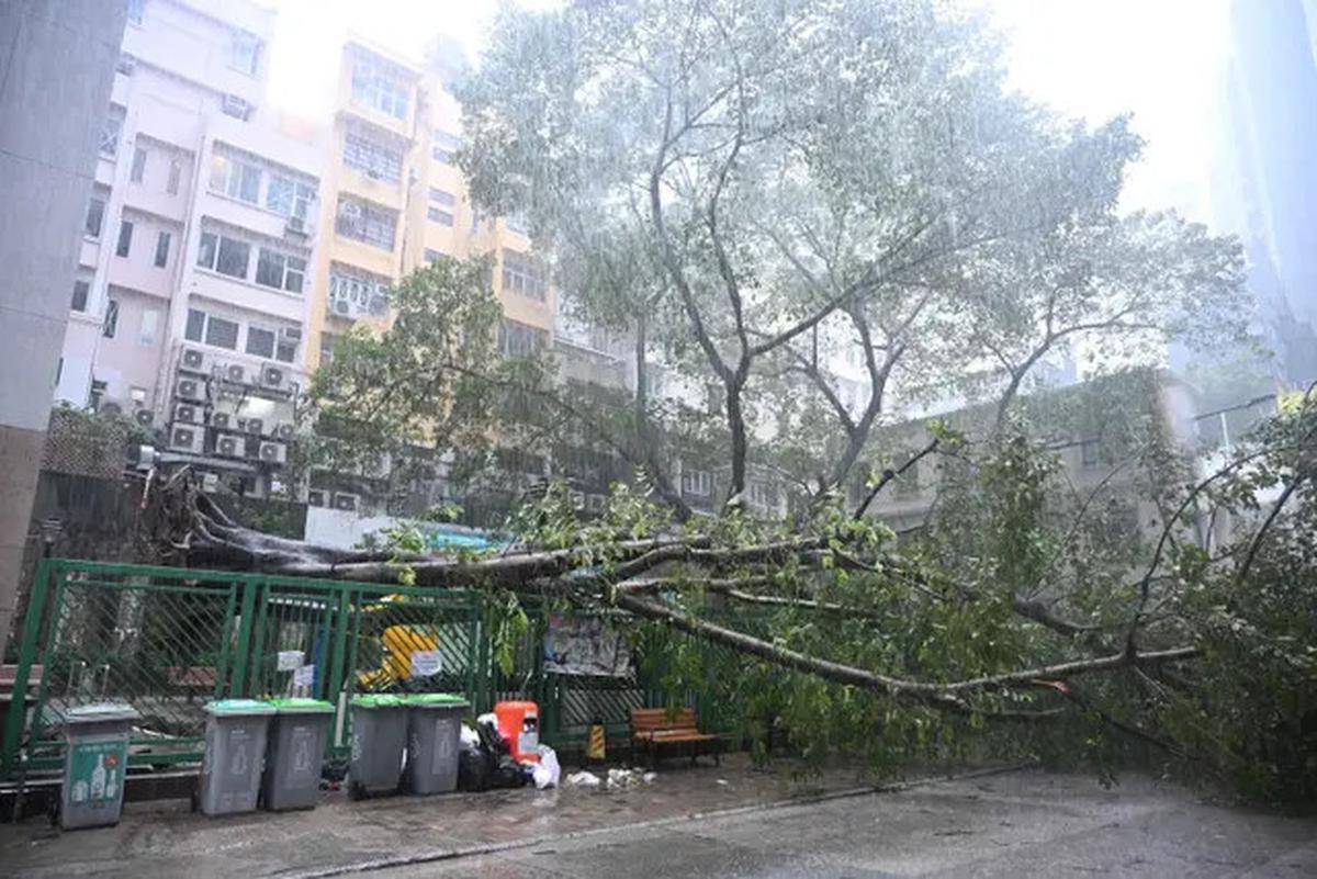 Dahsyatnya Topan Super Ragasa di Hong Kong Hancurkan Pintu Kaca dan Bikin Lobi Hotel Banjir