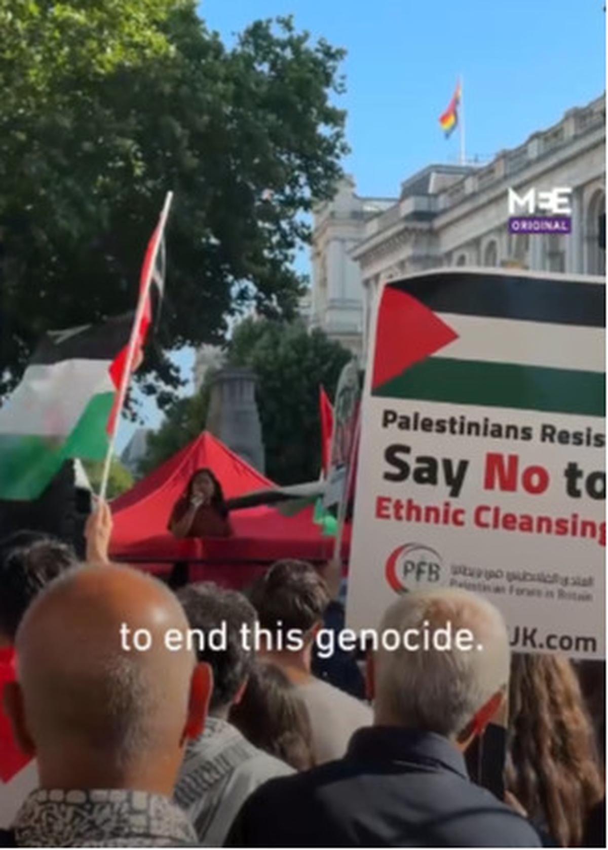 Pro Palestina