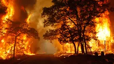  Kepolisian menyatakan, saat ini ada 244 laporan kasus kebakaran hutan dan lahan (Karhutla) yang ditangani. Dengan rincian, 194 laporan perorangan dan 50 korporasi. Dari 244 laporan yang ditangani, 38 kasus di antaranya sudah siap masuk ke persidangan.