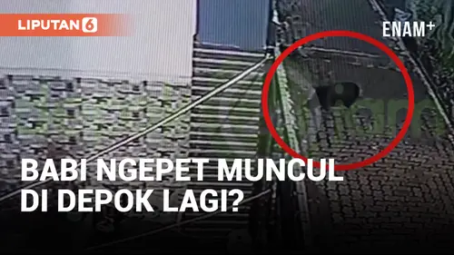 VIDEO: Geger! Penampakan Diduga Babi Ngepet di Depok!