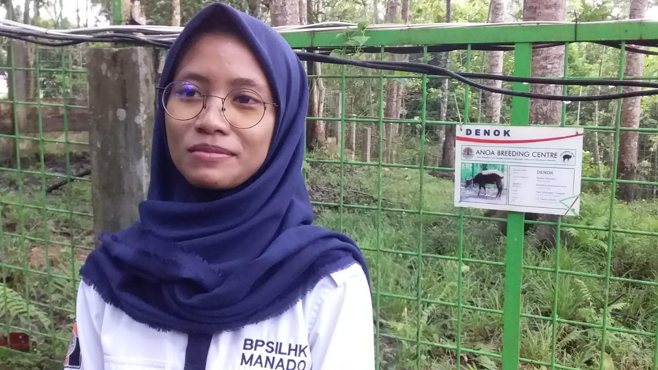 drh Afifah Hasna saat memberikan penjelasan terkait kelahiran bayi anona di ABC BPSILHK Manado, Kamis (2/2/2023).