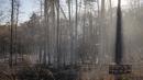 Asap mengepul dari kebakaran hutan yang menyebabkan kerusakan lebih dari 1.000 hektar di Pilot Mountain State Park di Pinnacle, North Carolina, AS (30/11/2021). (Allison Lee Isley/The Winston-Salem Journal via AP)