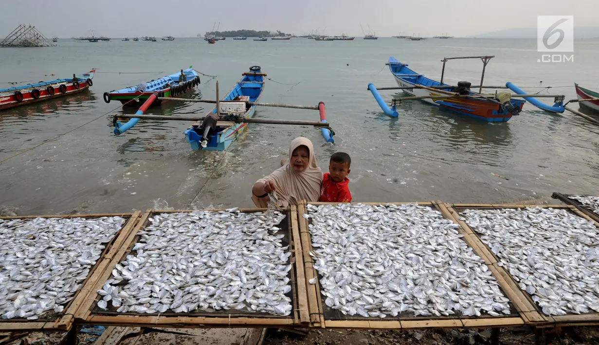 Warga menjemur ikan di kawasan Pasar Sumur Jaya, Pandeglang, Banten, Sabtu (3/8/2019). Aktivitas warga Kecamatan Sumur yang menjadi lokasi terdekat dari episentrum gempa Banten saat ini sudah kembali normal. (merdeka.com/Arie Basuki)