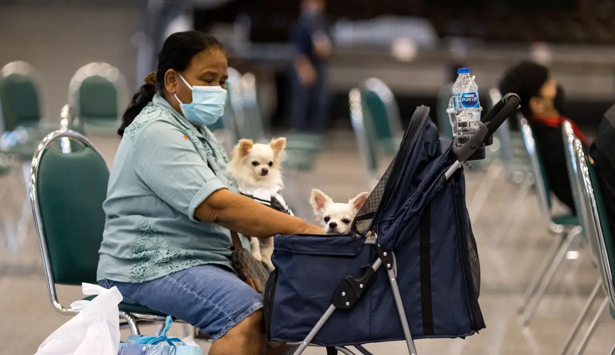 Seorang wanita menempatkan salah satu anjingnya ke dalam kereta bayi di Pet Expo Thailand 2021 tahunan di Bangkok (25/11/2021). Pet Expo Thailand 2021 diselenggarakan dari 25-28 November 2021 mulai pukul 10.00-20.00. (AFP/Jack Taylor)