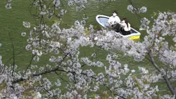 Orang-orang yang memakai masker menikmati mekarnya bunga sakura dari perahu dayung di Tokyo, Senin (29/3/2021). Menyaksikan sakura dari atas perahu dayung sambil menyusuri aliran sungai memberikan pengalaman berbeda. (AP Photo/Koji Sasahara)