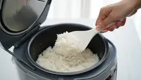 7 Penyebab Nasi Cepat Bau di Rice Cooker Meski Baru Matang