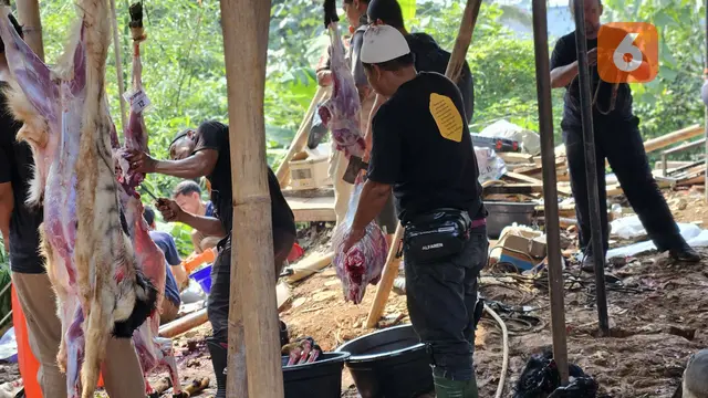 Pemotongan Daging Kurban di Hari Raya Idul Adha 2025 (Foto: Aditya Eka Prawira/Liputan6.com)