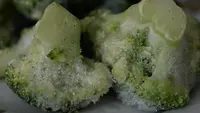 Cara Memasak Makanan Beku agar Tidak Keras, Rahasia Tekstur Empuk dan Lezat