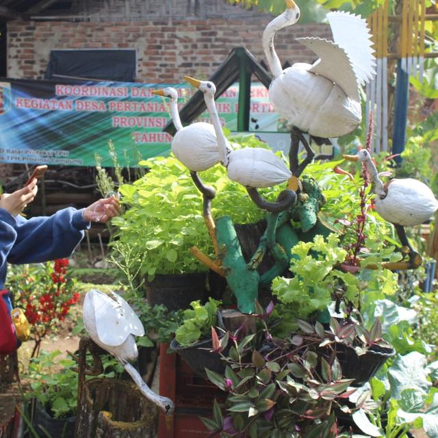 Kelompok Wanita Tani Di Lampung Tengah Galakkan Produksi Tanaman
