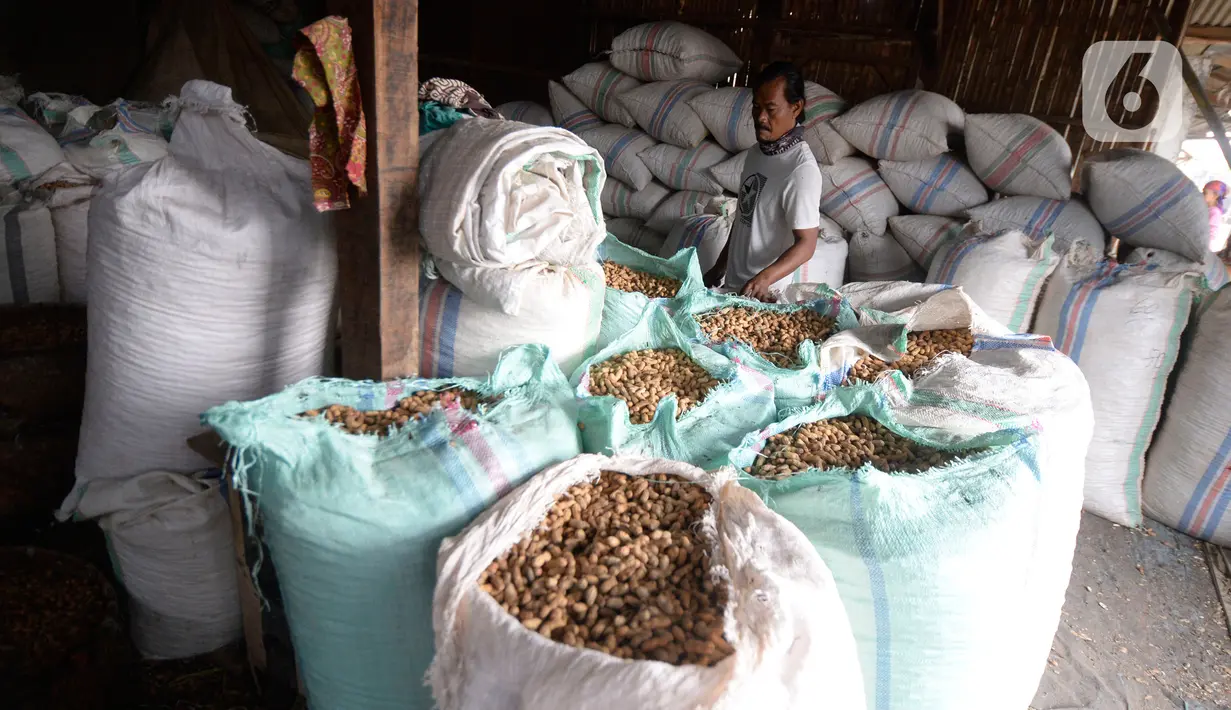 Pekerja bersiap mengolah kacang tanah di salah satu industri rumahan pembuatan kacang sangrai di Kawasan Keranggan, Tangerang Selatan, Selasa (11/8/2020). Kacang sangrai yang dipasarkan seharga Rp10.000 per kg itu mulai mengalami kenaikan pesanan dibanding bulan lalu. (merdeka.com/Dwi Narwoko)