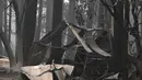 Rumah dan barang-barang pribadi terbakar dalam Kebakaran Dixie di daerah Air Terjun India di Plumas County, California (26/7/2021). Kebakaran tersebut berada di daerah terpencil dengan akses terbatas yang menghambat upaya petugas pemadam kebakaran saat bergerak ke timur. (AFP/Robyn Beck)