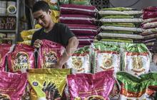 Mengapa Beras Langka? Pengamat Ungkap Kunci Pemulihan Kepercayaan Pelaku Usaha Jadi Solusi Krisis Nasional