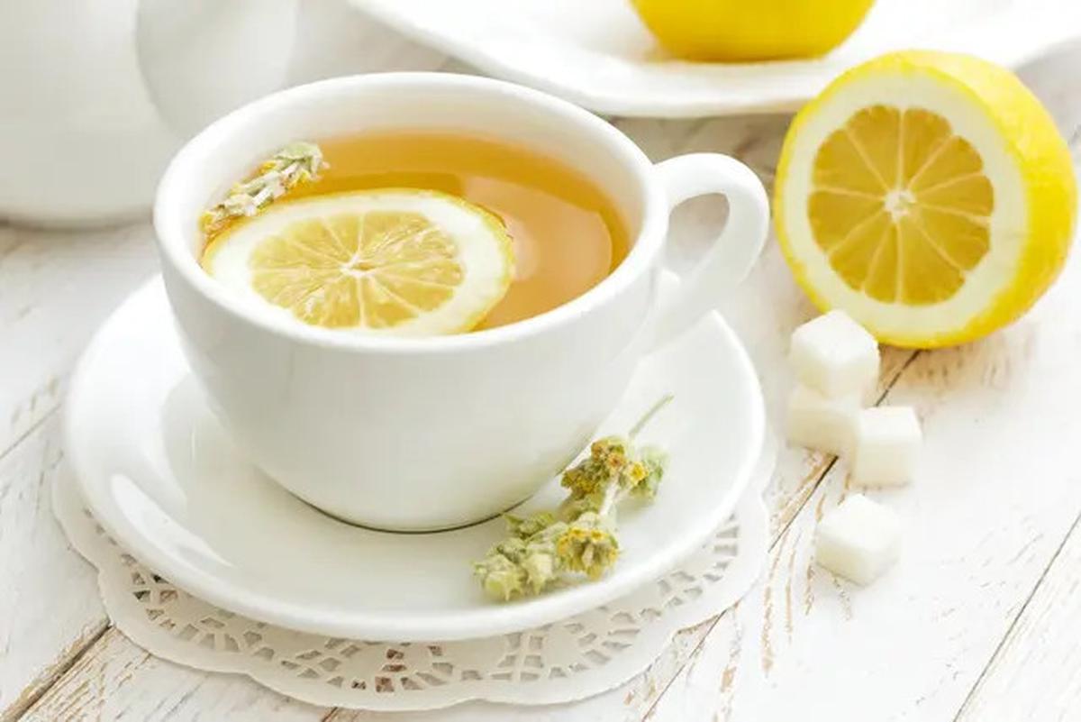 Ramuan Herbal Alami untuk Menurunkan Kolesterol Tinggi