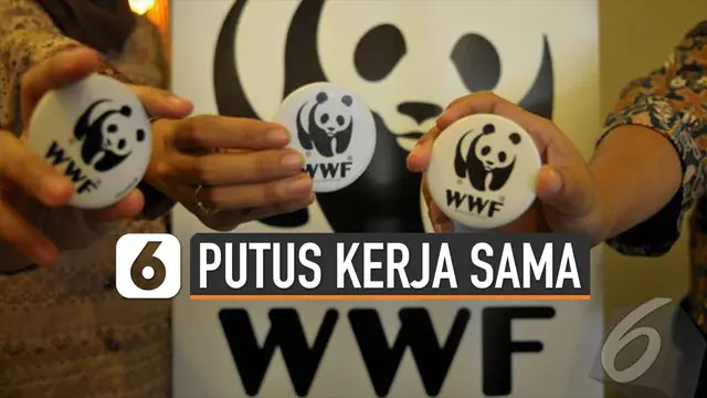 VIDEO: Sebab KLHK Putuskan Kerja Sama dengan WWF