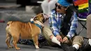 <p>Kontes tersebut memulai perayaan Drake Relays di Drake University di mana maskotnya adalah bulldog. (AP Photo/Charlie Neibergall)</p>