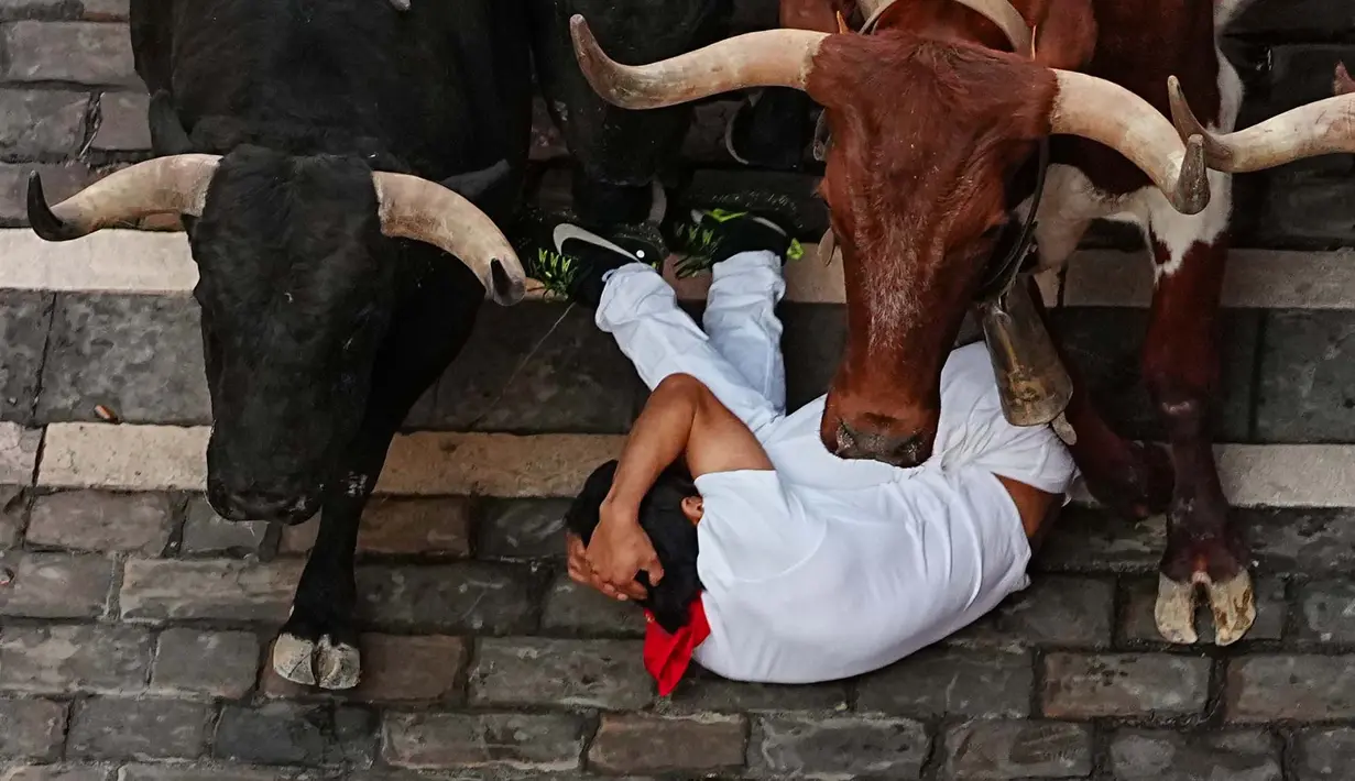 Seorang pengunjung festival terjatuh di depan banteng-banteng aduan Victoriano del Río saat acara lari banteng ketiga di festival San Fermín di Pamplona, Spanyol, Kamis, 9 Juli 2026. (AP Photo/Miguel Oses)
