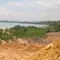 Kondisi hutan mangrove di Batam