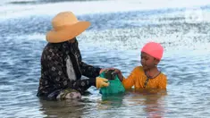 Warga Desa Adat Peminge mengumpulkan lepasan rumput laut di kawasan Pantai Geger Mulya, Nusa Dua, Bali, Selasa (3/5/2022). Dalam sehari, belasan warga mampu mengumpulkan sekitar 5 hingga 20 kg rumput laut basah yang jatuh karena gelombang laut. (merdeka.com/Arie Basuki)