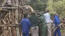 Petugas berwenang Malawi menata 2,6 ton gading gajah selundupan dari Tanzania untuk dimusnahkan, Senin (14/3/2016). Gading sebanyak 781 buah senilai hampir USD3 juta (sekitar Rp39 miliar) tersebut dimusnahkan dengan cara dibakar. (AMOS GUMULIRA/AFP)