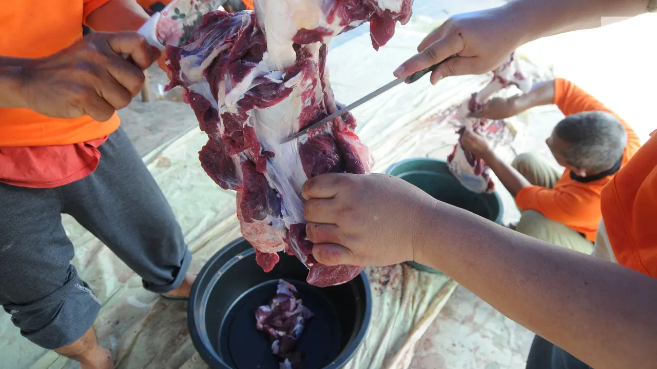 Semarak Idul Adha 2018, Warga Gotong Royong Distribusikan Daging Kurban