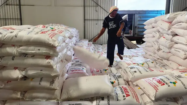 Distribusi Pupuk Subsidi di Jatim Tembus 590 Ribu Ton, Tertinggi se-Indonesia