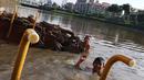 Suasana saat anak-anak berenang di Kanal Banjir Barat, Jakarta, Jumat (23/3). Selain mahalnya sewa kolam renang, berenang Kanal Banjir Barat dipilih anak-anak tersebut karena minimnya lahan bermain. (Liputan6.com/Immanuel Antonius)