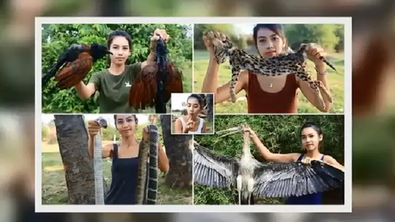 Sejumlah hewan langka seperti kucing luar, kadal besar, spesies burung langka, king kobra dan bahkan hiu ia kuliti, lalu dimasak kemudian baru dimakan (Capture/Take Care English)