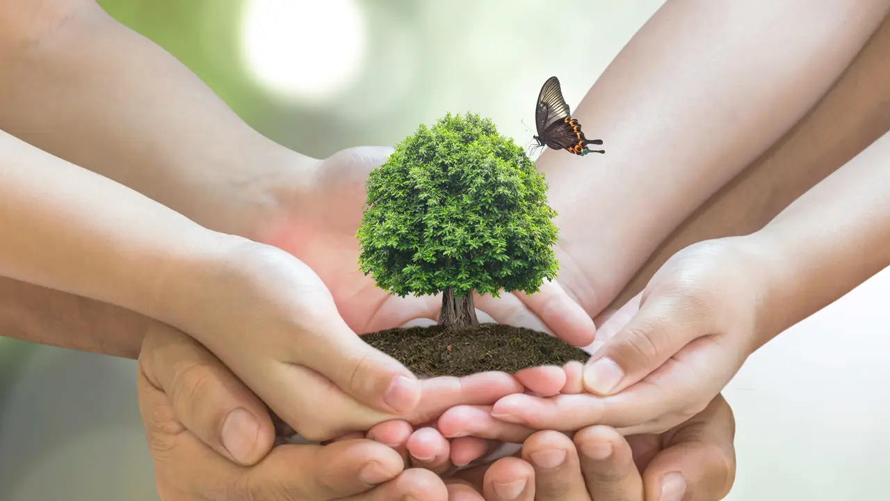 Sustainable environment