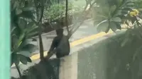 WNA jadi Korban Copet di Rasuna Said