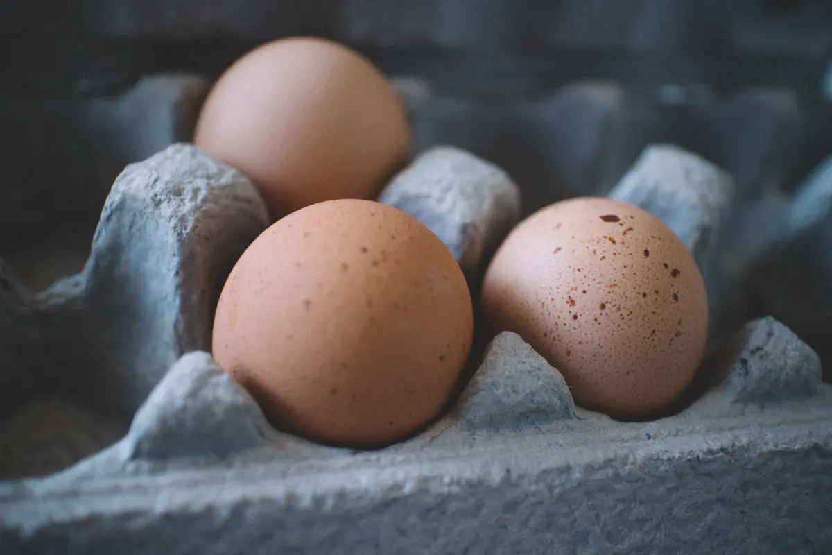 [Fimela] telur