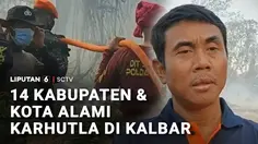 14 Kabupaten dan Kota Alami Karhutla di Kalbar