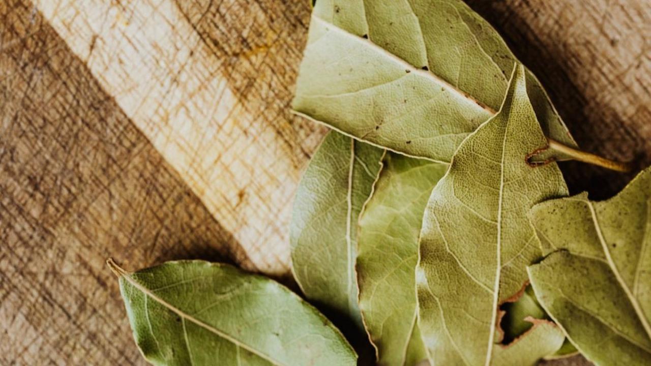 1. Daun Salam