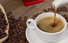 Kopi Luwak: Inovasi dari Perjuangan Petani Lokal Melawan Ketidakadilan Kolonial