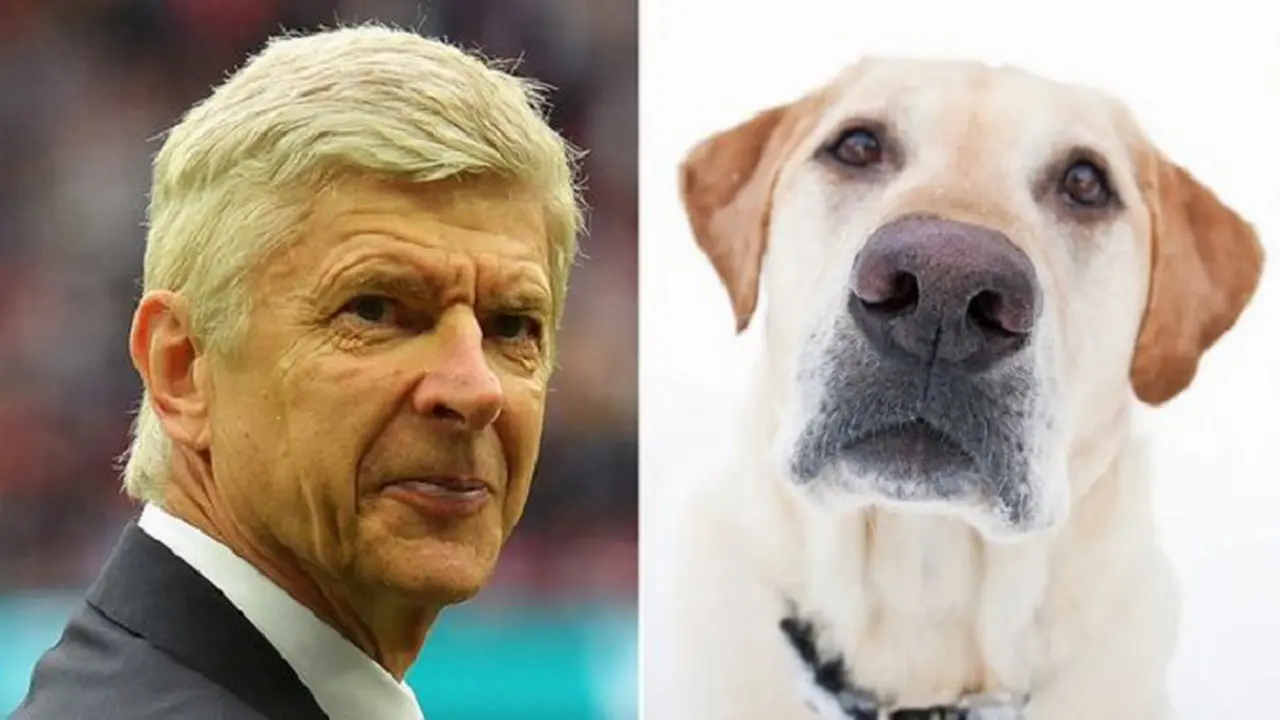 Arsene Wenger (Mirror)