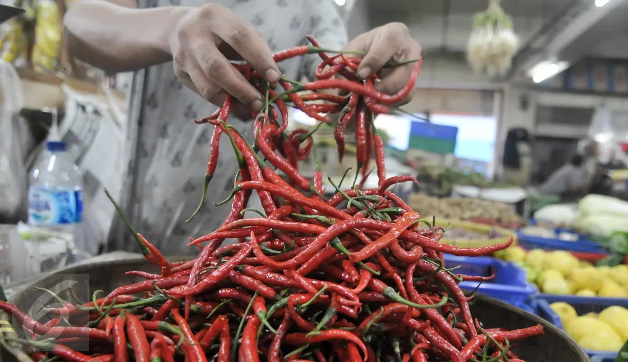 Pedagang menunjukan cabai merah kerinting, Jakarta, Senin (10/10). Harga cabai merah keriting kini dijual Rp50-60 ribu/kg, harga ini naik dari sebelumnya sekitar Rp30 ribu-40 ribu/kg, cabai rawit merah dijual Rp20-30 ribu/kg. (Liputan6.com/Yoppy Renato)