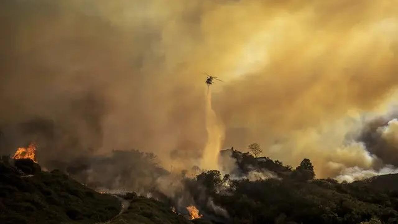 Kerugian Akibat Kebakaran Hutan Los Angeles Capai Rp810 Triliun
