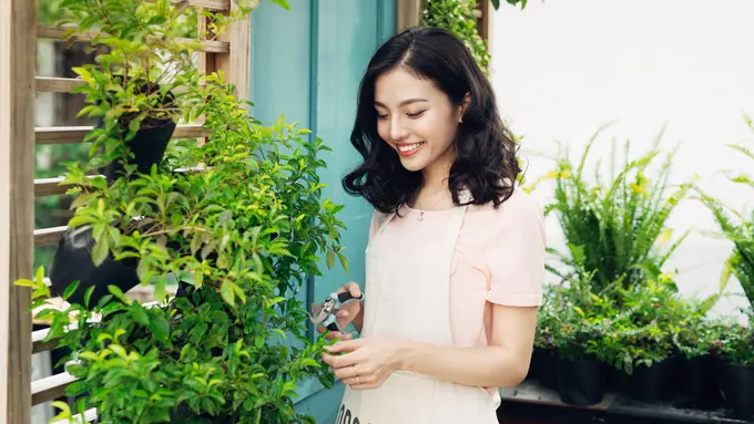 Bisa Jadi Mood Booster, Yuk Mulai Hobi Menanam bareng Shopee 3.15 Hari Belanja Konsumen