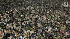 Tumpukan sampah terlihat di antara hutan mangrove di kawasan Muara Angke, Jakarta Utara, Sabtu (14/4). Sampah-sampah yang terbawa oleh arus tersebut berdampak besar pada rusaknya hutan mangrove. (Liputan6.com/Johan Tallo)