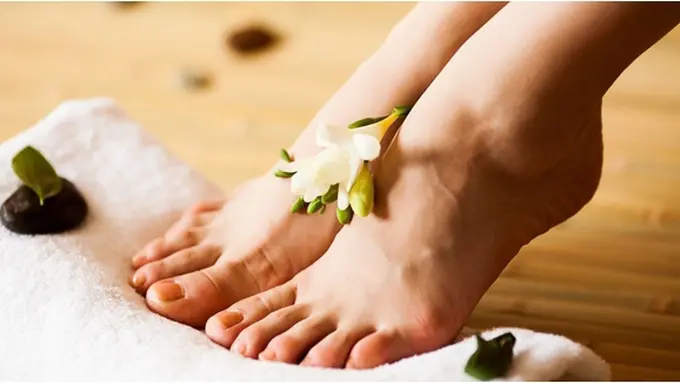 Photo copyright Shutterstock.com