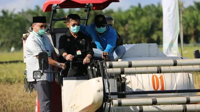 Mentan Syahrul Yasin Limpo Panen Raya di Bangka Selatan