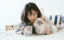 Animal Communicator Adalah Seseorang yang Miliki Kemampuan Berbicara dengan Hewan, Berikut Penjelasannya