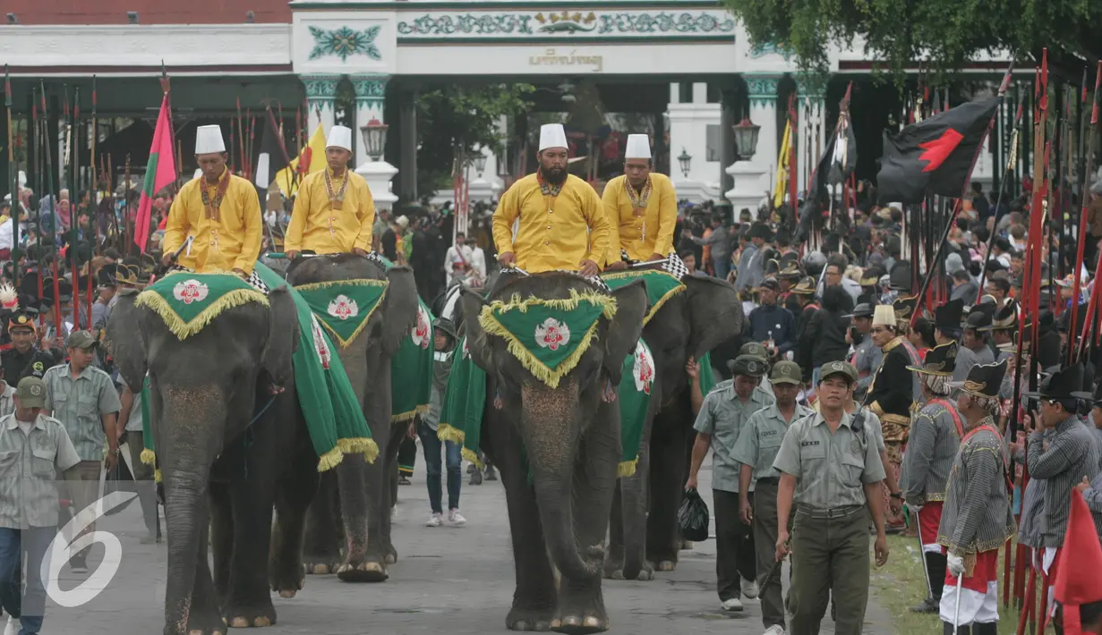 Sejumlah gajah ikut serta dalam kirab menuju Masjid Kauman Yogyakarta, Selasa (13/9). Keraton Kesultanan Yogyakarta membuat 7 gunungan untuk diberikan kepada warga saat Grebeg Idul Adha 1437. (Liputan6.com/Boy Harjanto)