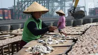 Menghabiskan Pagi di Pulau Kecil Pengekspor Ikan Asin