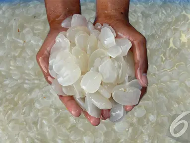 Para pengerajin kolangkaling merasakan berkah dari bulan Rhamadhan, Selasa (1/7/2014) (Liputan6.com/Miftahul Hayat)