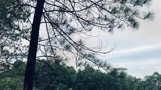 Pemandian Air Panas Lahendong