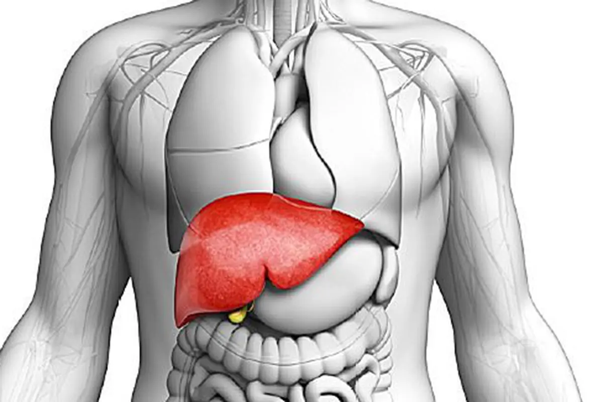 Bahaya sirosis hati/copyright WebMD.com