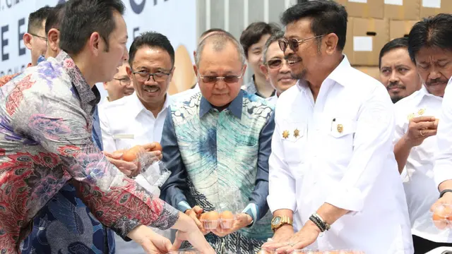 Susul Karkas Ayam Beku dan DOC, Indonesia Sukses Ekspor Telur ke Singapura