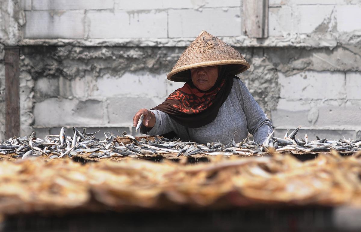 Produksi Ikan Asin Tidak Berpengaruh dengan cuaca