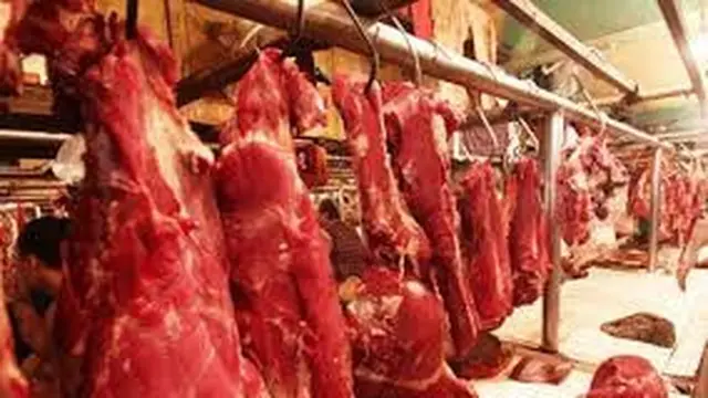 Ilustrasi kebutuhan daging sapi (Istimewa)