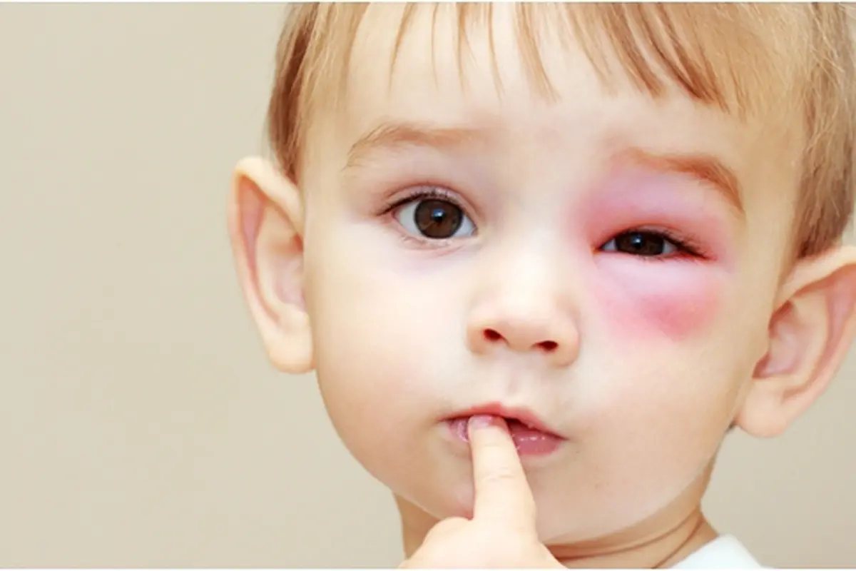 Courtesy ShutterStock.com